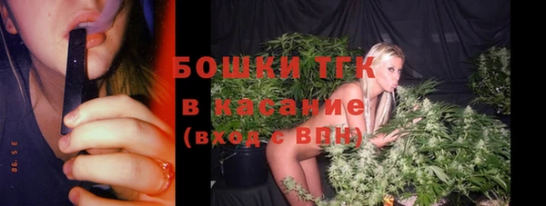 ГАЛЛЮЦИНОГЕННЫЕ ГРИБЫ Коряжма