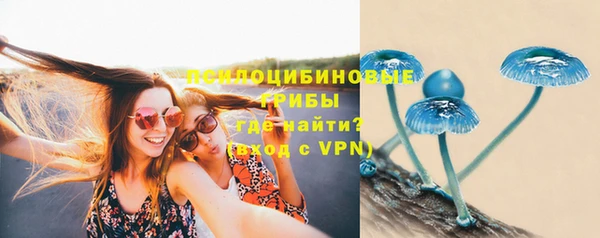 синтетический гашиш Корсаков