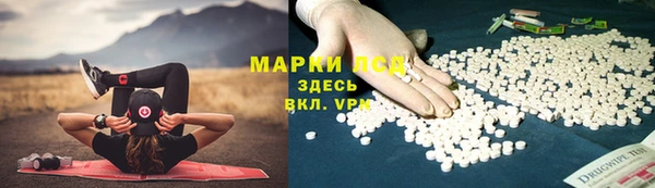ГАЛЛЮЦИНОГЕННЫЕ ГРИБЫ Коряжма