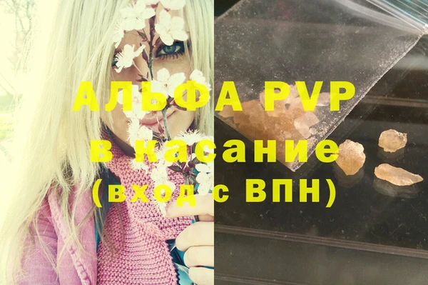 ГАЛЛЮЦИНОГЕННЫЕ ГРИБЫ Коряжма