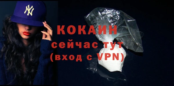 ГАЛЛЮЦИНОГЕННЫЕ ГРИБЫ Коряжма