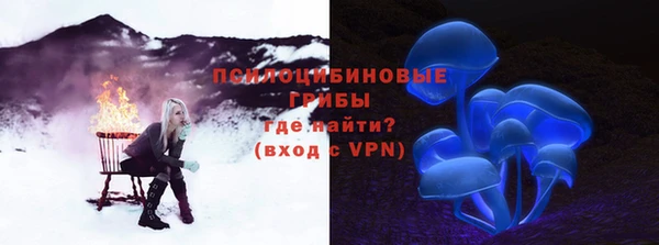 ГАЛЛЮЦИНОГЕННЫЕ ГРИБЫ Коряжма