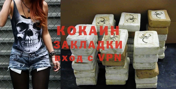 ГАЛЛЮЦИНОГЕННЫЕ ГРИБЫ Коряжма